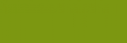 Pigmentos - Dalbe serie 6 - Verde Óxido Cromo