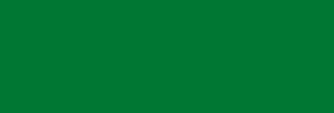 Tinta China Pelikan 1 litro - Verde Oscuro