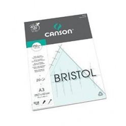 Bloc Bristol a4 Canson ip