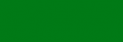 Papel Canson Mi-Teintes para pastel 50x65 10 h - Vert Billard