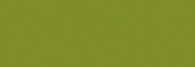 Papel Canson Mi-Teintes para pastel 50x65 10 h - Vert Pomme