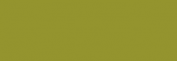 Papel Canson Mi-Teintes para pastel 50x65 10 h - Vert Amande