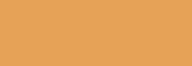Papel Canson Mi-Teintes para pastel 50x65 10 h - Terre de Sienne