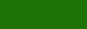 Faber Castell Lápices Polychromos - Leaf Green