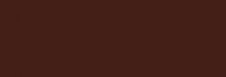 Faber Castell Lápices Polychromos - Walnut Brown