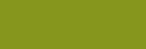 Faber Castell Lápices Polychromos - May Green