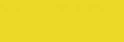 Copic Sketch Rotulador - Cadmium Yellow