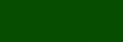Copic Ciao Rotulador - Pine Tree Green
