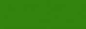 Copic Ciao Rotulador - Forest Green