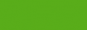 Copic Ciao Rotulador - Nile Green