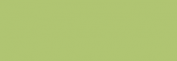 Copic Ciao Rotulador - Spring Dim Green