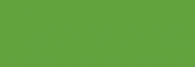 ProMarker Winsor&Newton Rotuladores - Leaf Green