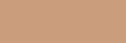 ProMarker Winsor&Newton Rotuladores - Caramel