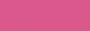 ProMarker Winsor&Newton Rotuladores - Dusky Rose
