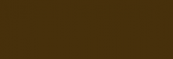 Acuarela Van Gogh Pastillas 1/2 Godet - Tierra sombra natura