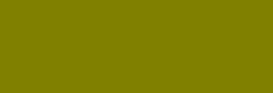 Acrylique Vallejo Studio 2 l - Vert Olive