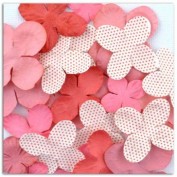 Flores Scrapbooking Toga AA20